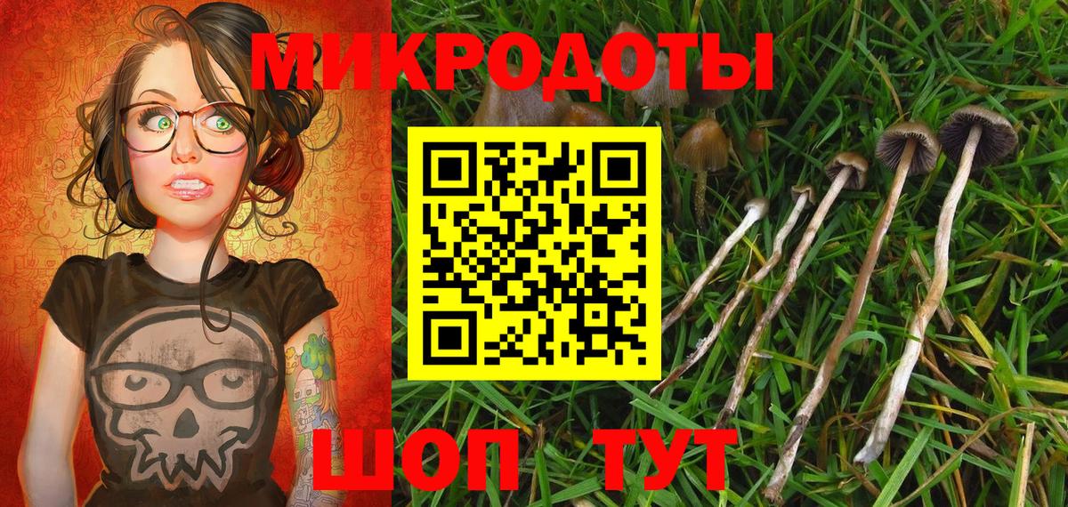 Галлюциногенные грибы Magic Shrooms Истра