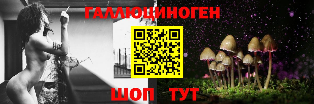 Истра  Галлюциногенные грибы Psilocybine cubensis  Вход с VPN 
